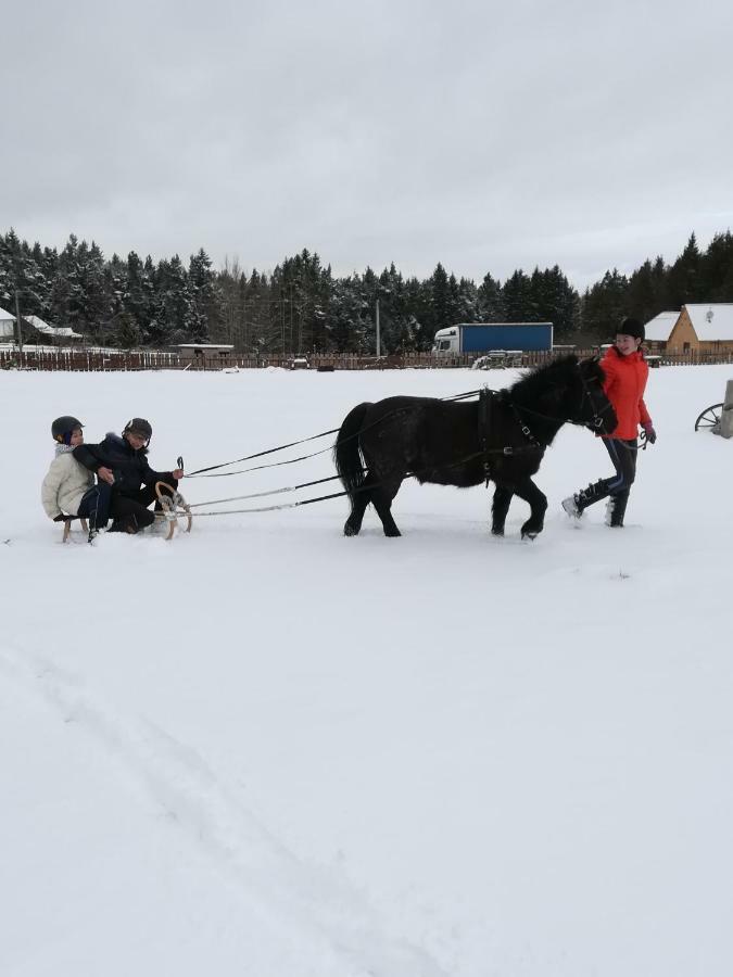 Farma Ranch Jelemek Leilighet Nebahovy Eksteriør bilde