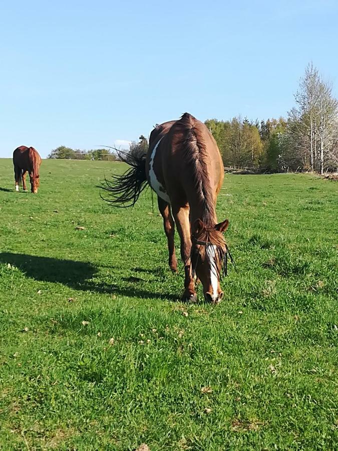 Farma Ranch Jelemek Leilighet Nebahovy Eksteriør bilde